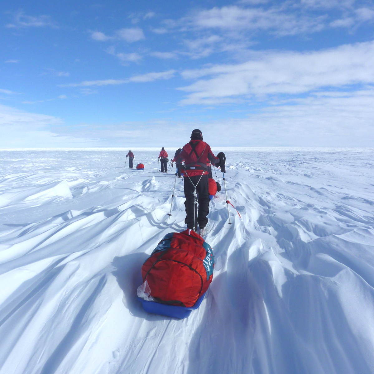 Snowsled Polar - Aiguille Alpine
