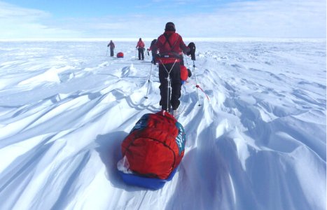 Snowsled Polar